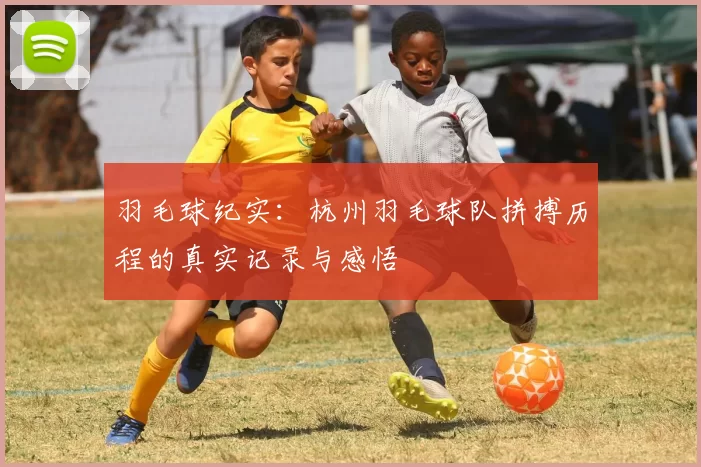 羽毛球纪实：杭州羽毛球队拼搏历程的真实记录与感悟