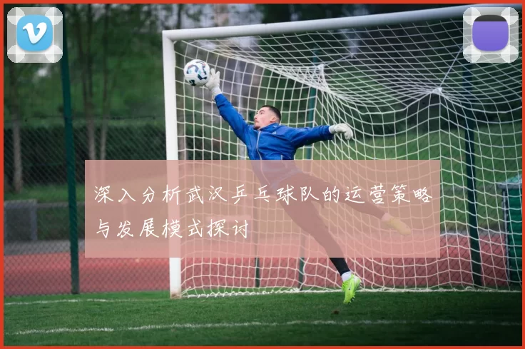 深入分析武汉乒乓球队的运营策略与发展模式探讨