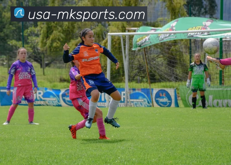 MK体育发展历程